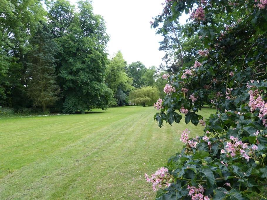 Manoir Avec Son Parc De 12000M² Villa Chaumes-en-Brie Exterior foto